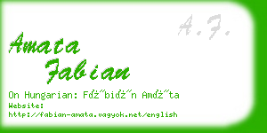 amata fabian business card